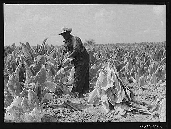 Lexington,Kentucky,KY,Fayette County,Farm Security Administration,1940,FSA,8
