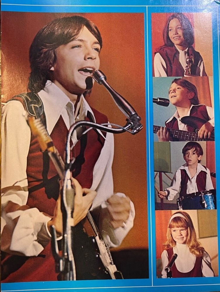 1971 Vintage Illustration The Partridge Family David Cassidy Susan Dey