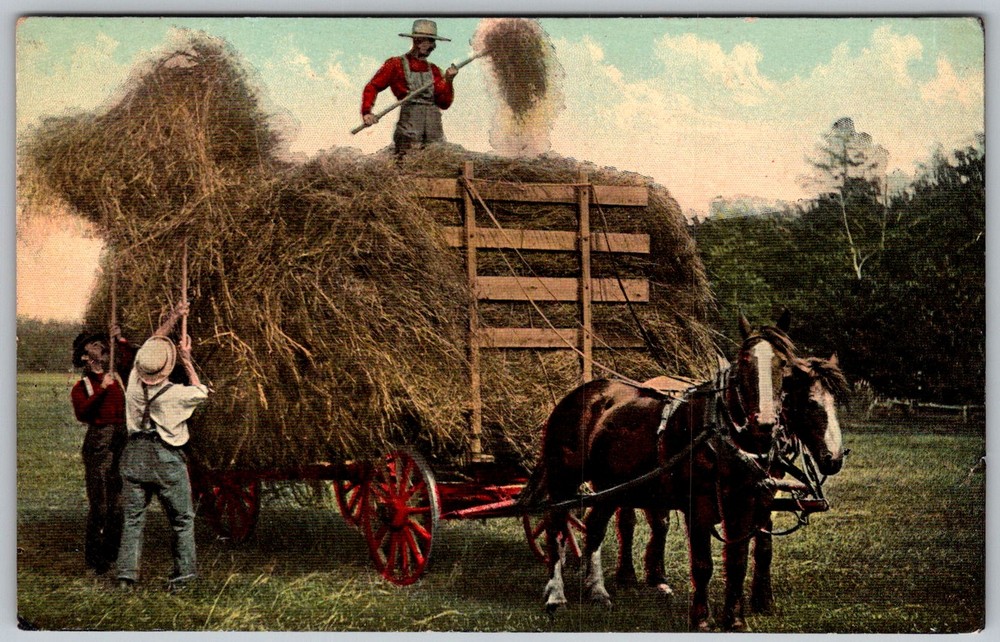 Antique Postcard Horse-drawn Hay Wagon 1910s