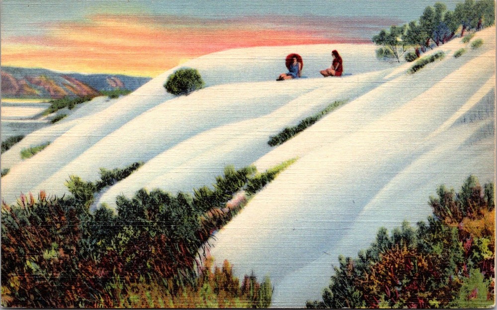 Great White Sands National Monument New Mexico Vintage Postcard
