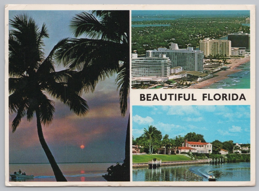 State View~Palms Air View Hotels & Harbor Scene In Florida~Continental Postcard