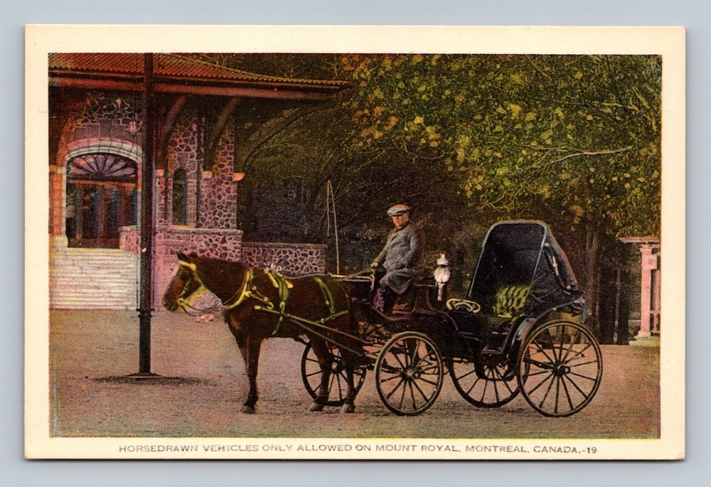 Vintage Horse-Drawn Carriage on Mount Royal Montreal Canada Postcard
