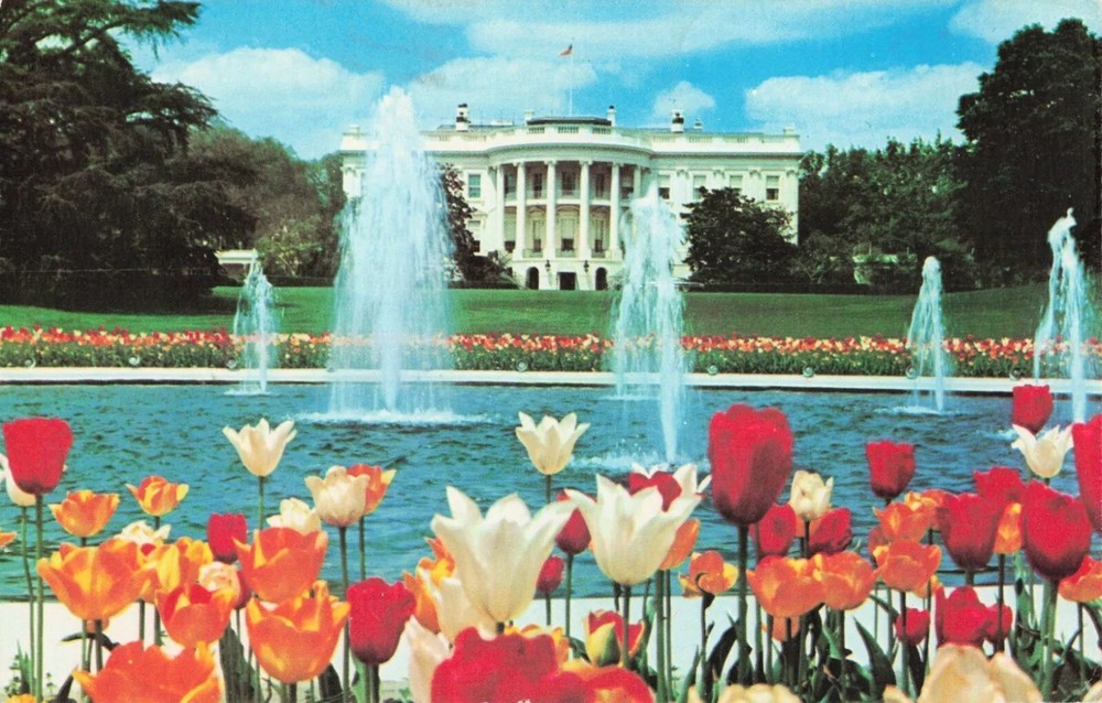 South Portico of The White House - Washington DC - Postcard
