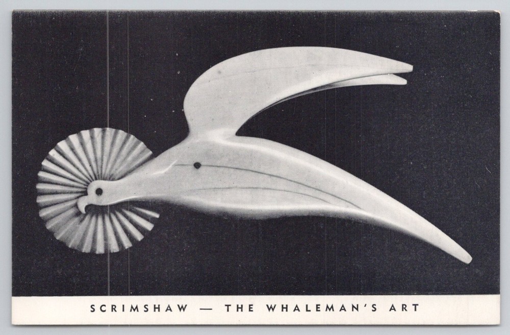 Vintage Scrimshaw Whaleman's Art Postcard New Bedford Whaling Museum MA
