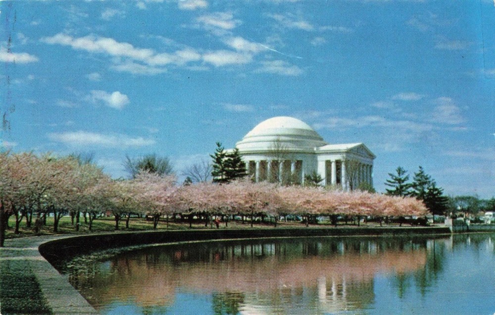 Jefferson Memorial - Washington DC - Postcard