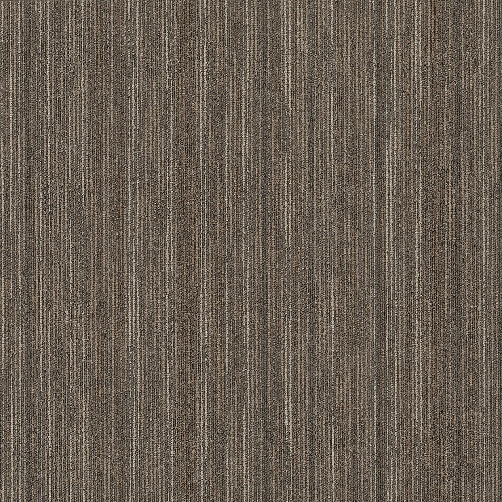 Shaw 54845 Philadelphia Commercial Intellect 24x24 Glue Down Tile Smarts Collection  