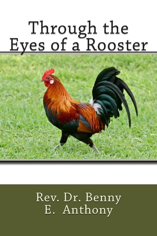 Through the Eyes of a Rooster by Benny E. Anthony (English) Paperback Book