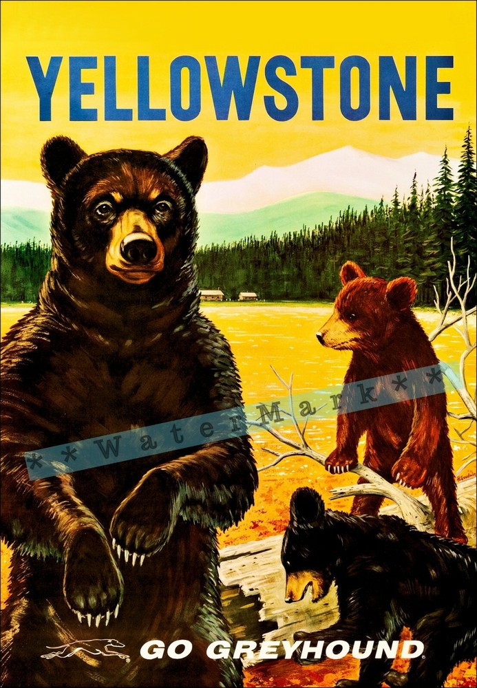 Yellowstone Park 1950 Go Greyhound Bears Vintage Poster Print Art Retro Art