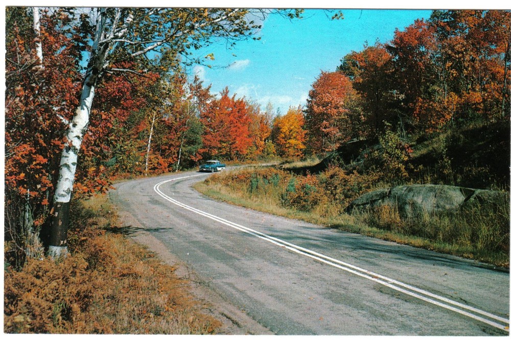 Ontario Postcard Cloyne Autumn Road 1950s Car