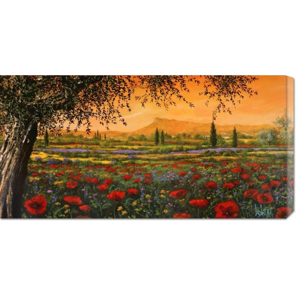 Global Gallery Tebo Marzari 'Pianura in Fiore' Stretched Canvas Wall Art, 18x36 Inches, Vibrant Floral Landscape, Multi-Color, Ready to Hang, Premium Quality