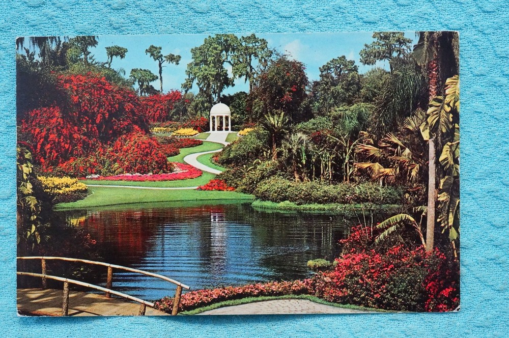 Cypress Gardens - Florida - Postcard