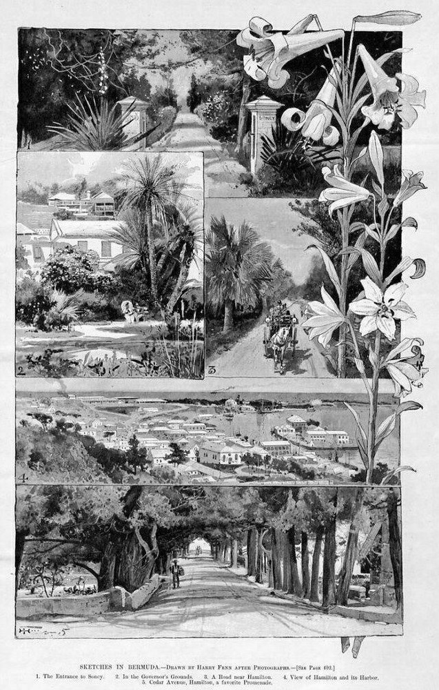 SKETCHES IN BERMUDA GOVERNOR'S GARDENS GROUNDS HAMILTON PROMENADE SONCY BERMUDA