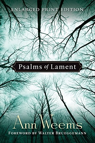 Psalms of Lament, Weems, Ann