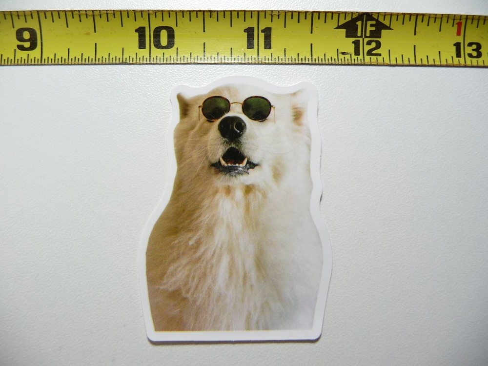 Fun Dog Sunglasses Decal Sticker for Pets and Furbabies