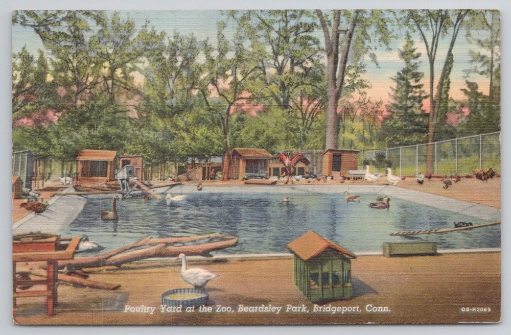 Vintage Linen Postcard Poultry Yard Zoo Beardsley Park Bridgeport CT 1940s
