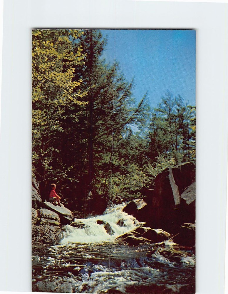 Postcard Mountain Stream Nature Scene