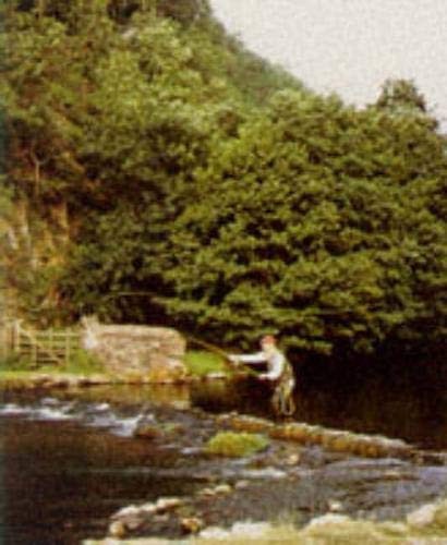 Trout and the Sub-surface Fly by Stevens, Lou Paperback Book The Fast FreeFREE US DELIVERY | ISBN: 1853108723 | Quality Books