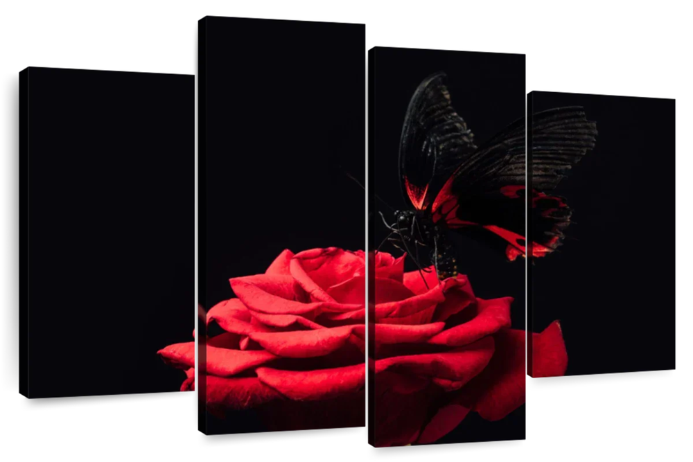 Butterfly Kissing The Rose Wall Art