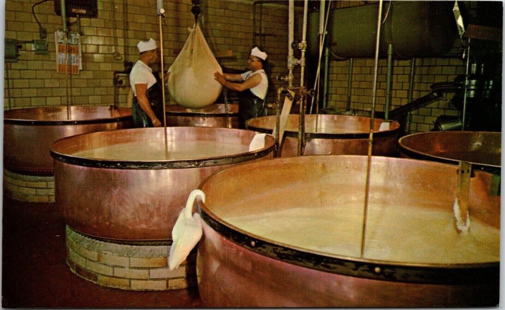 Interior View Mueller Cheese House Sugarcreek Ohio OH Workers Machines Postcard
