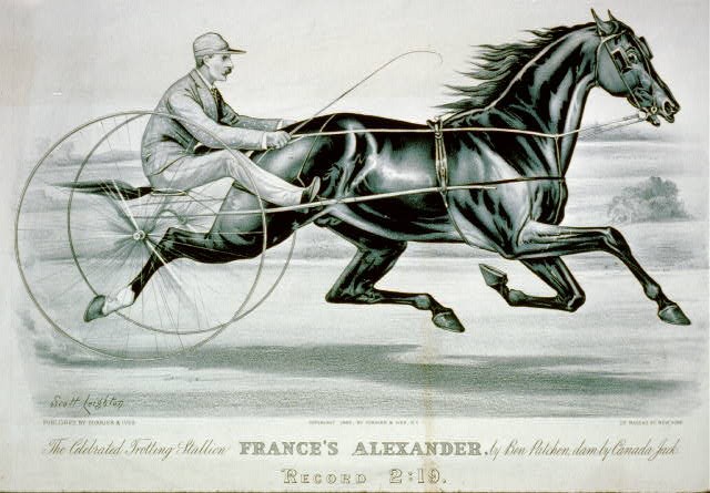Harness Racing,Horse Racing,Celebrated Trotting Stallion Frannce's Alexander