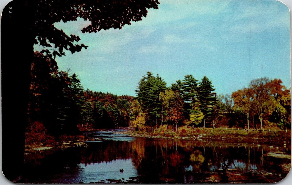 Dr Jim Stamps Postcard Pines Exquisite Fall Setting Unposted