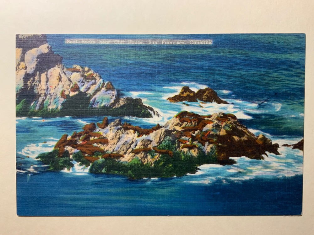 Vintage Linen Postcard Seal Rocks Near Cliff House San Francisco CA Unposted