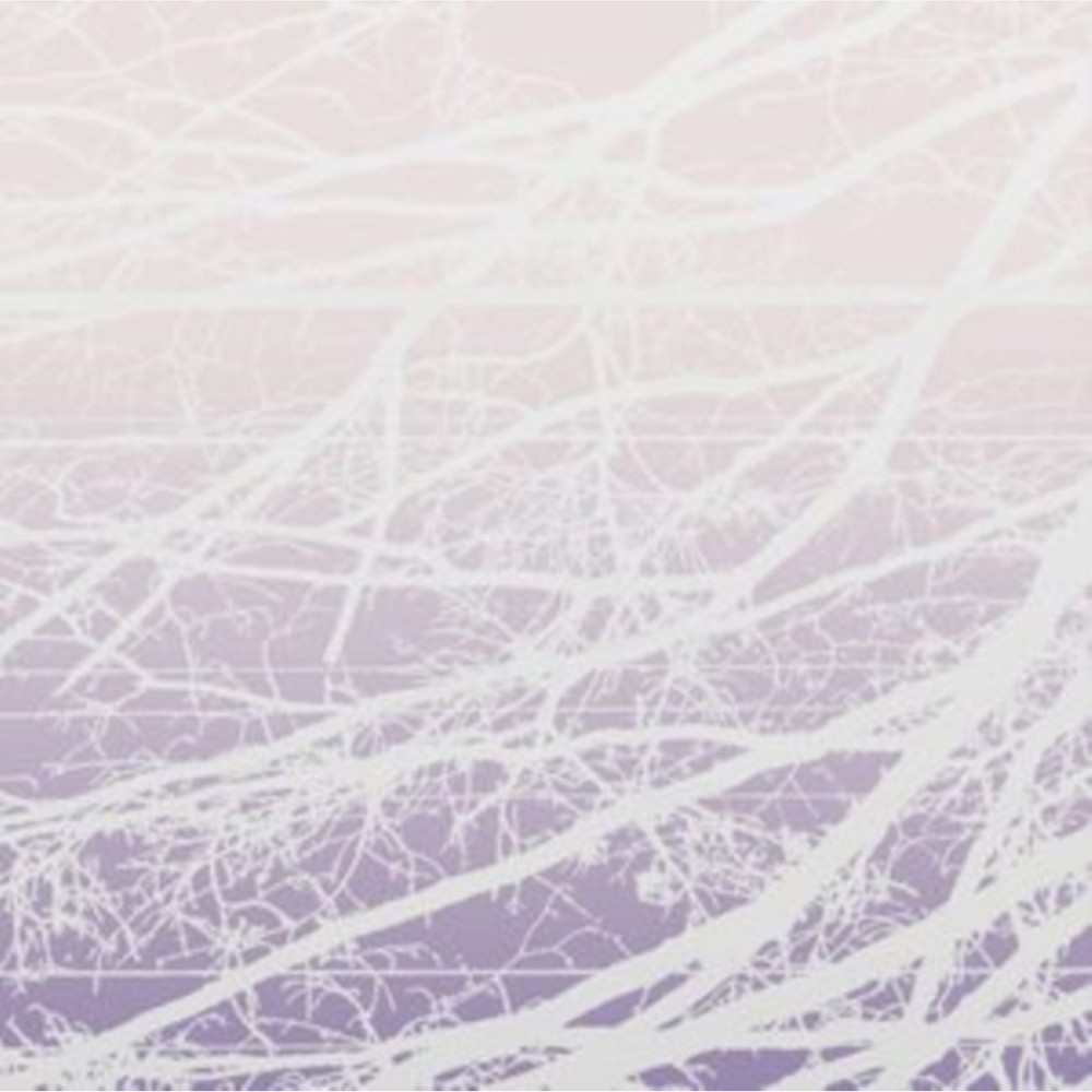 Lea Bertucci - Metal Aether / Resonant Field (2LP)