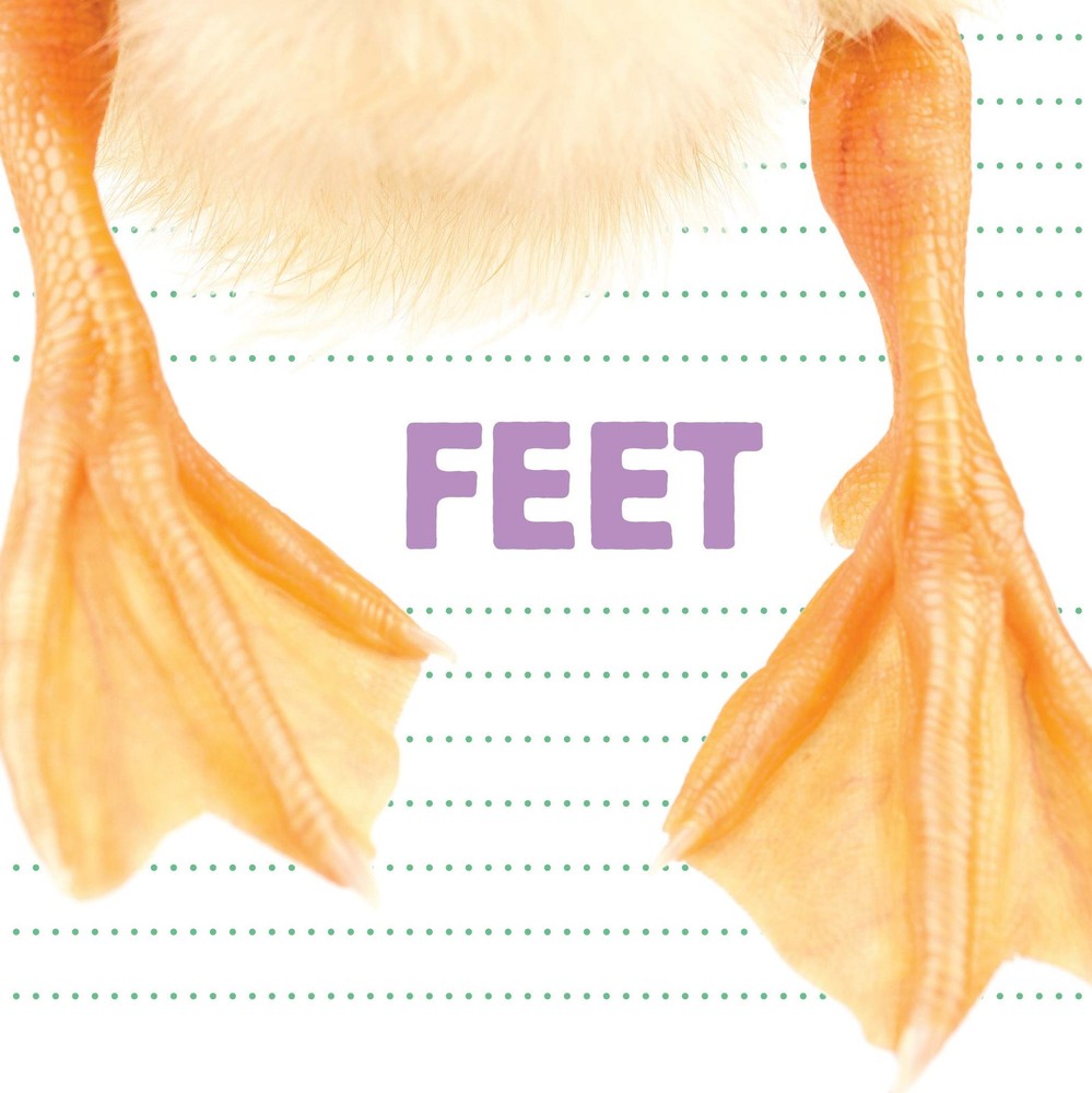 Feet (Whose Is It?) by Crow