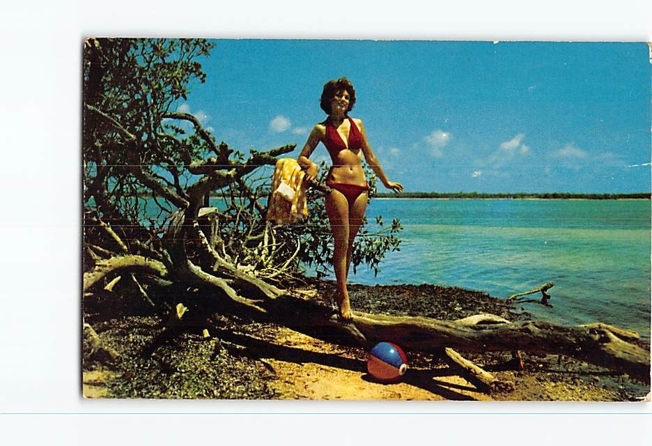 Postcard Let's Play Ball in Sunny Florida USA North America