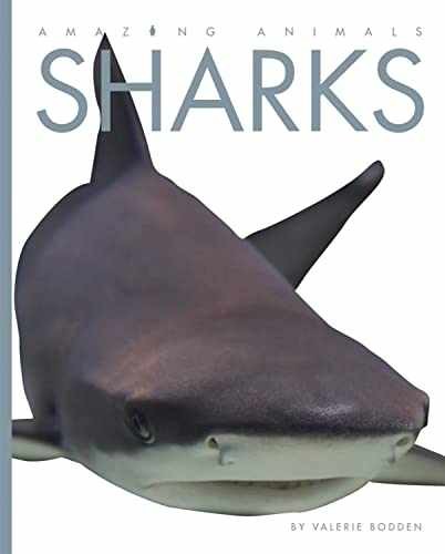 Amazing Animals: Sharks - Paperback, by Bodden Valerie - Acceptable r