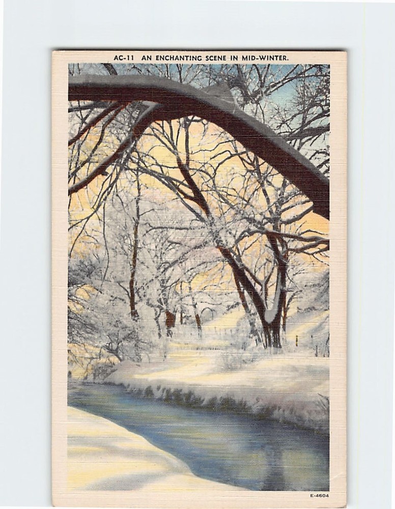 Postcard An Enchanting Scene In Mid Winter