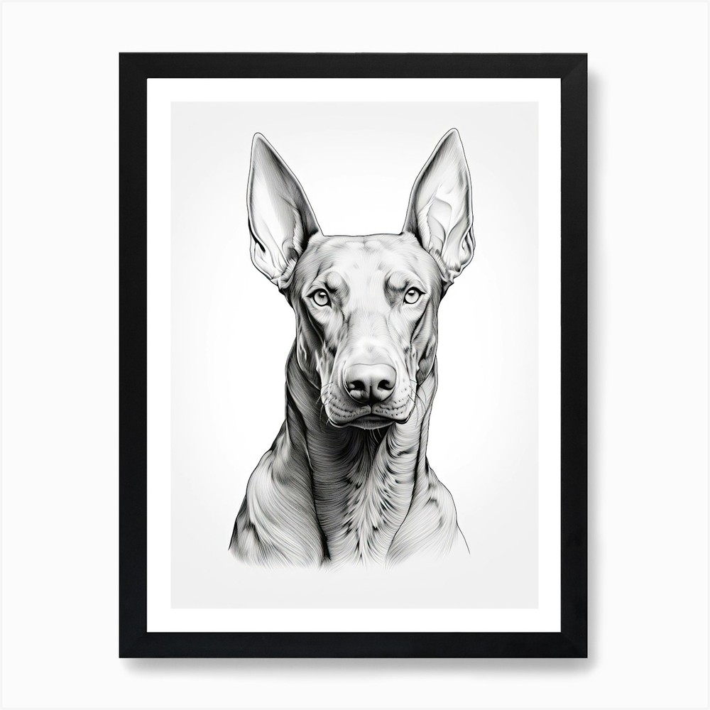 Doberman Pinscher Dog, Line Drawing Framed Wall Art Poster Canvas Print Picture