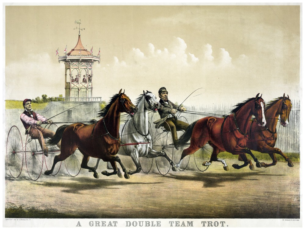 Decor Poster. Fine Graphic Art. A great Double team Trot. Home Wall Design. 1134