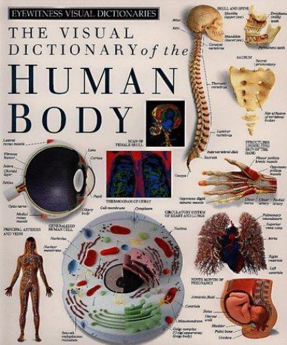 Eyewitness Visual Dictionaries: The Visual Dictionary of the Human Body (DK Eyew