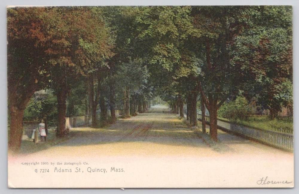 1905 Adams St Quincy MA Tree Lined Street Rotograph Co. Postcard Massachusetts