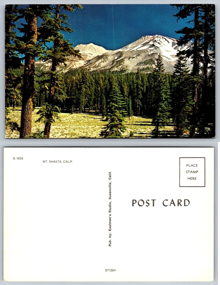 Vintage Mt. Shasta California Postcard - Snow-Capped Mountain & Forest View