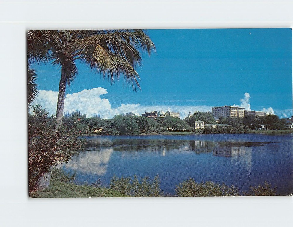 Postcard View Of St Petersburg Florida Over Mirror Lake