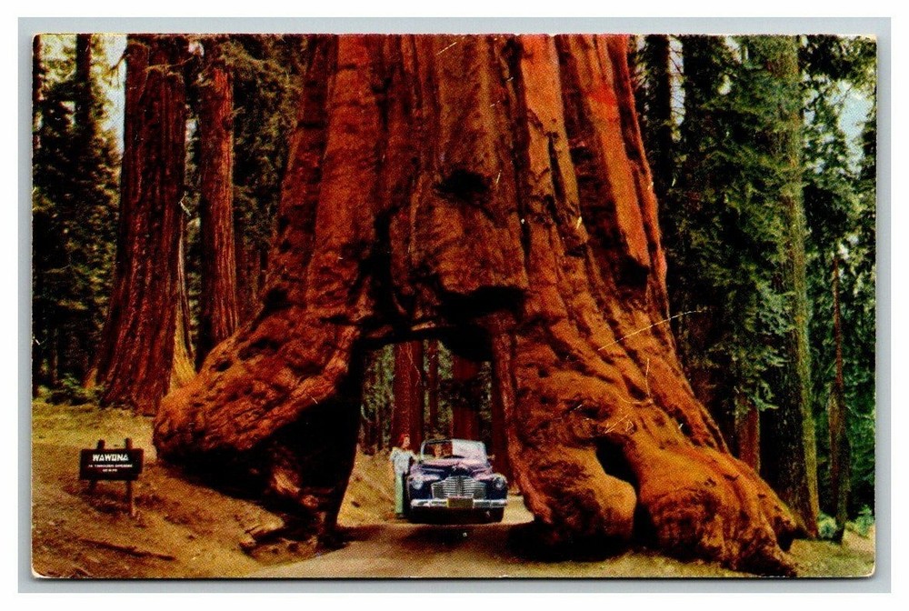 Postcard Yosemite National Park California CA 