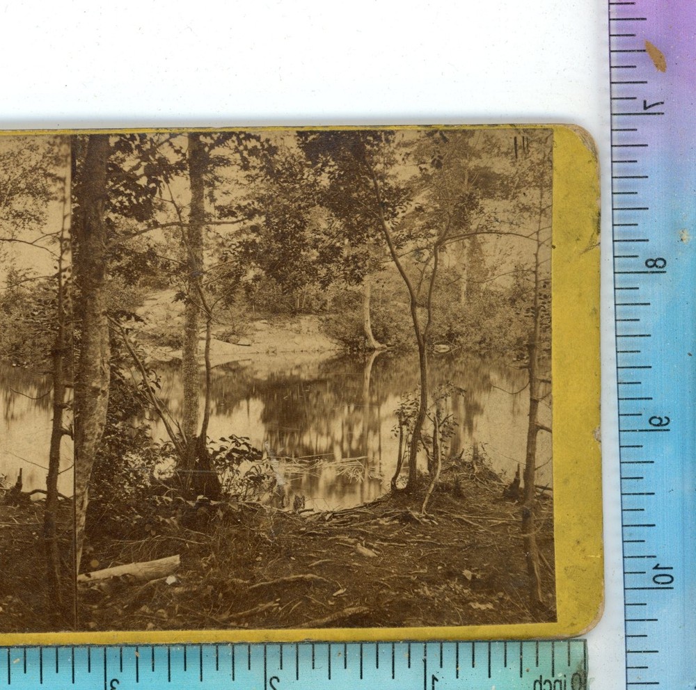 Lake George Scenery NY New York Stereoview