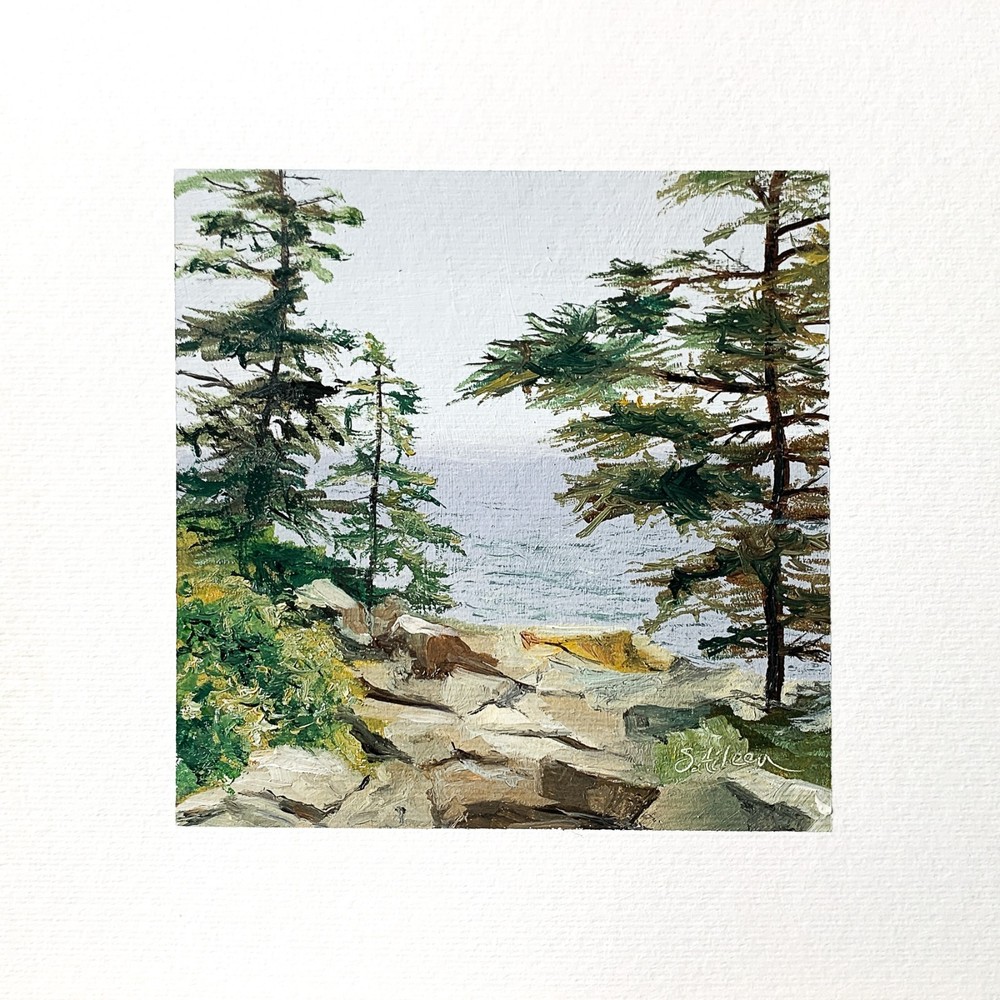 8x8 Maine Original Oil Painting Seascape Acadia National Park Pines Rock Signed-image