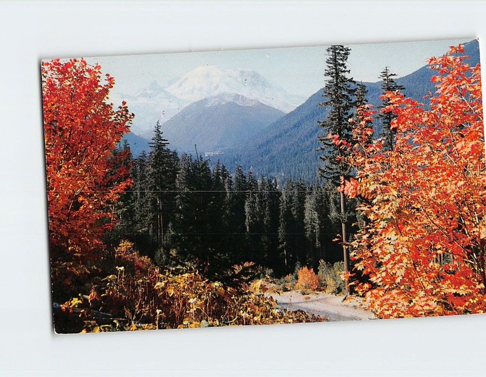 Postcard Mount Rainier and white river valley from Naches Pass highway WA USA