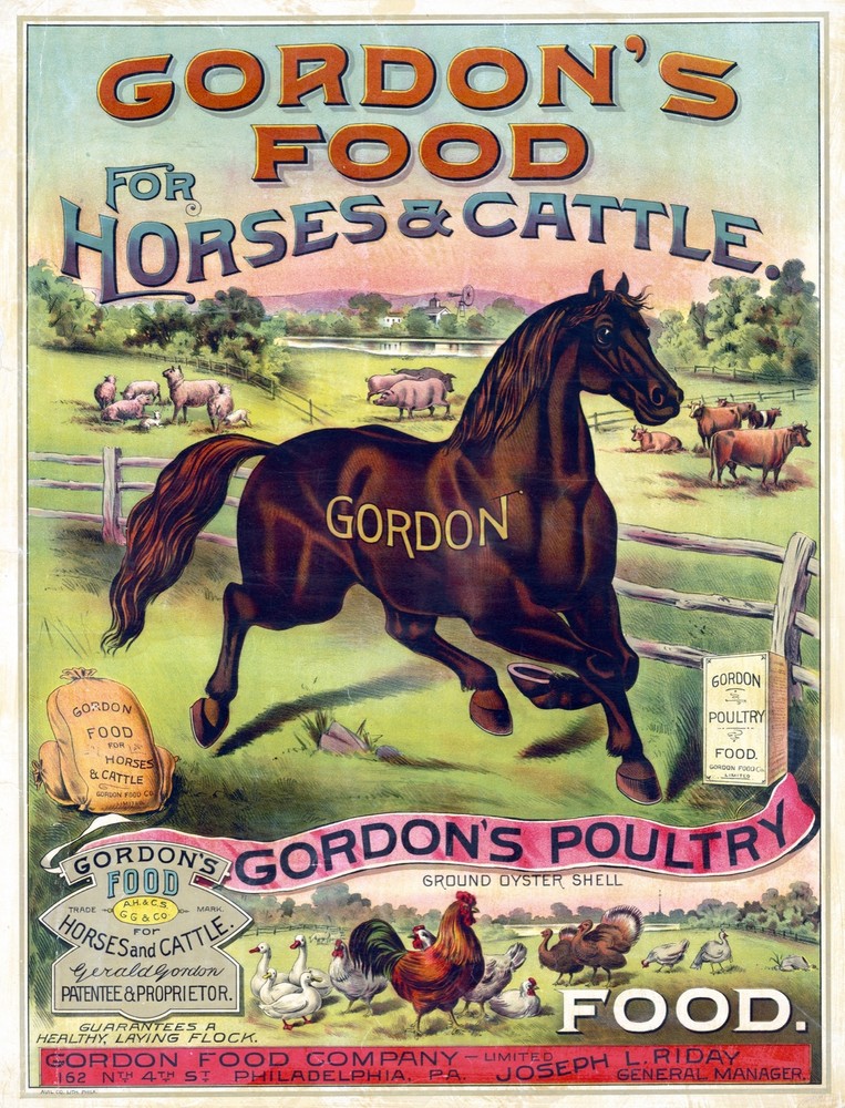 9488.Decoration Poster.Room Wall art.Home decor.Farm Cattle poultry horse food