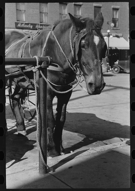 Bradford,Vermont,VT,Farm Security Administration,FSA,Orange County,1939,2