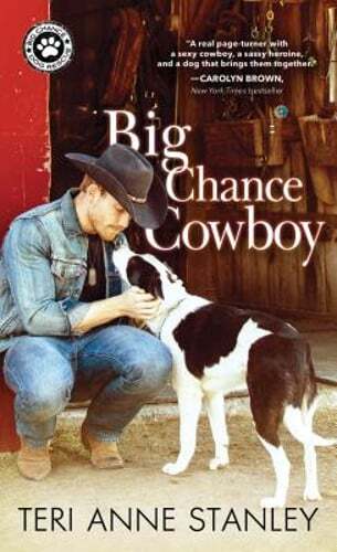 Big Chance Cowboy by Teri Anne Stanley: Used