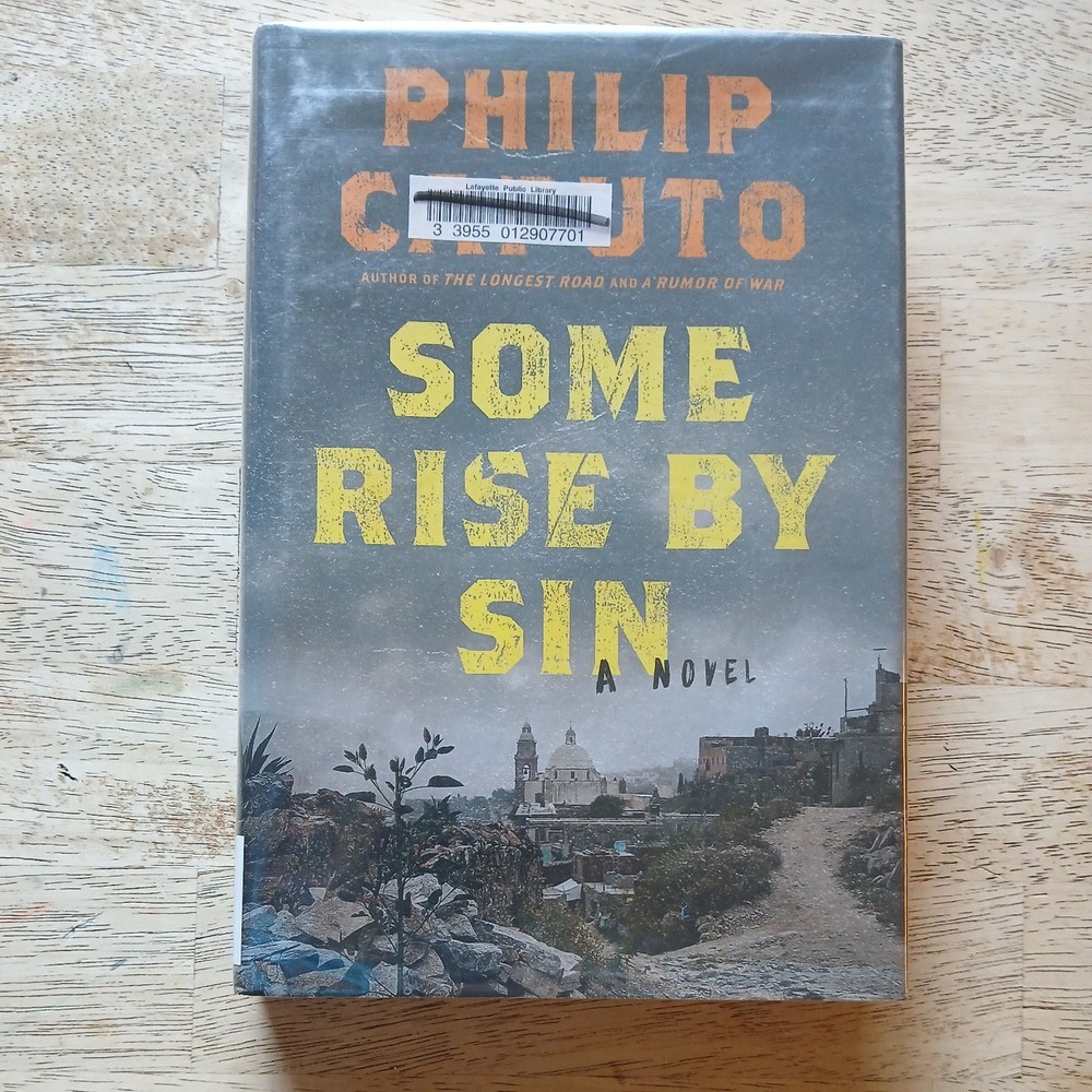 Some Rise by Sin : A Novel by Philip Caputo (2017, Hardcover)