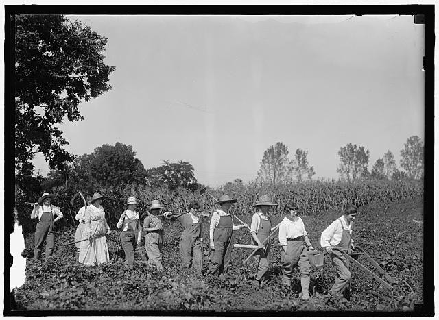 Photo:Girl Scouts Farmerettes Harvesting Crops 1919 Women in Field