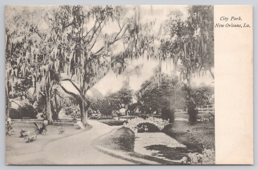 City Park New Orleans LA Spanish Moss Stone Bridge Early 1900s Postcard