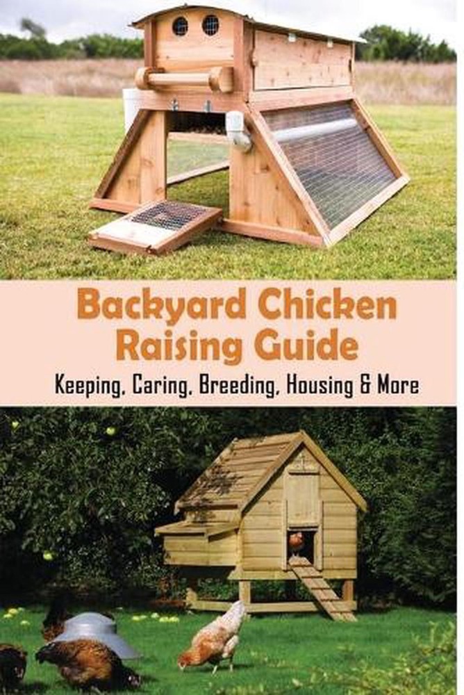 Backyard Chicken Raising Guide: Keeping, Caring, Breeding, Housing & More: What
