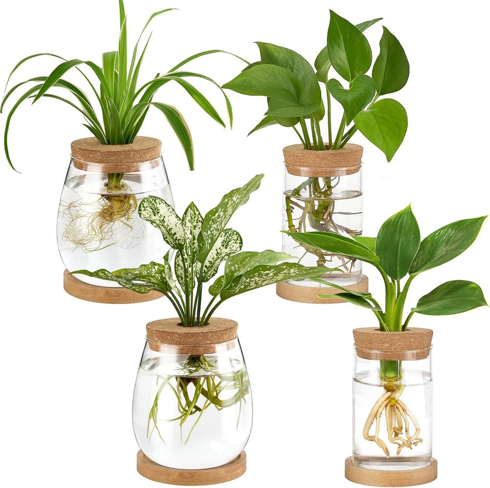 4 Pcs Plant Propagation Stations Desktop Propagated Plant Jars Terrarium Glass