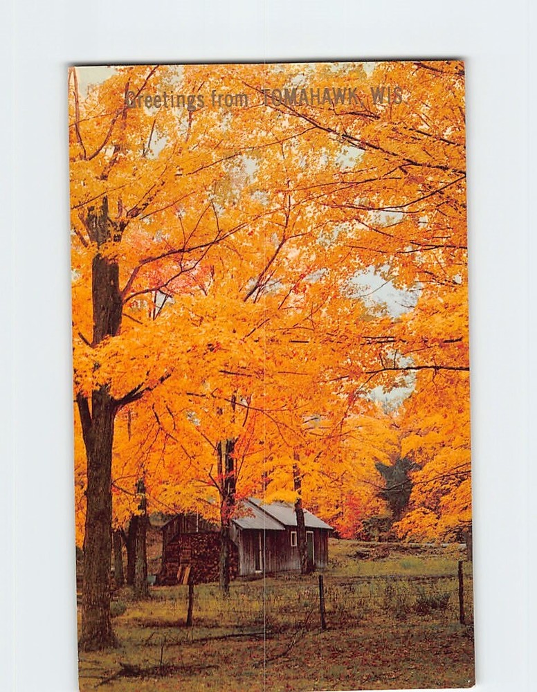 Postcard Autumn Scene Greetings from Tomahawk Wisconsin USA